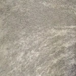 Meet your Posher, Kenneth